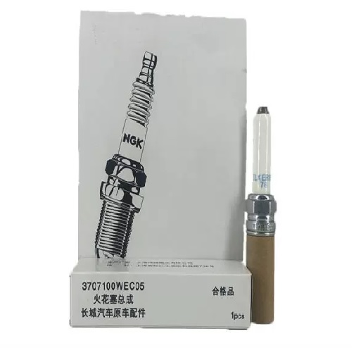 بواجي هافال 9 21ال22 و باور بنزين